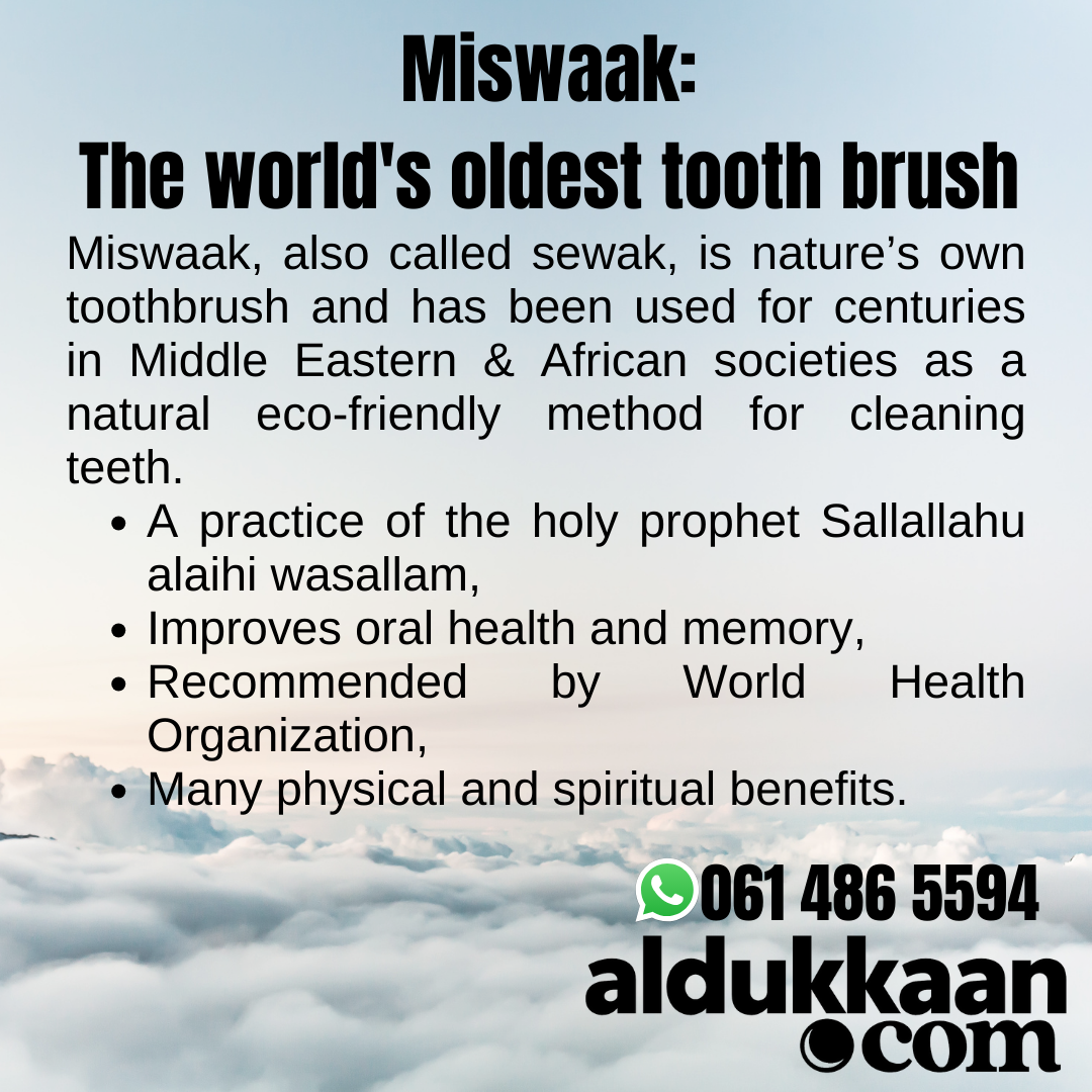 Peelu Miswak - Tooth stick